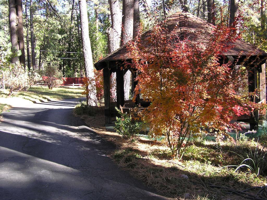 Quiet Creek Inn Idyllwild Exterior photo