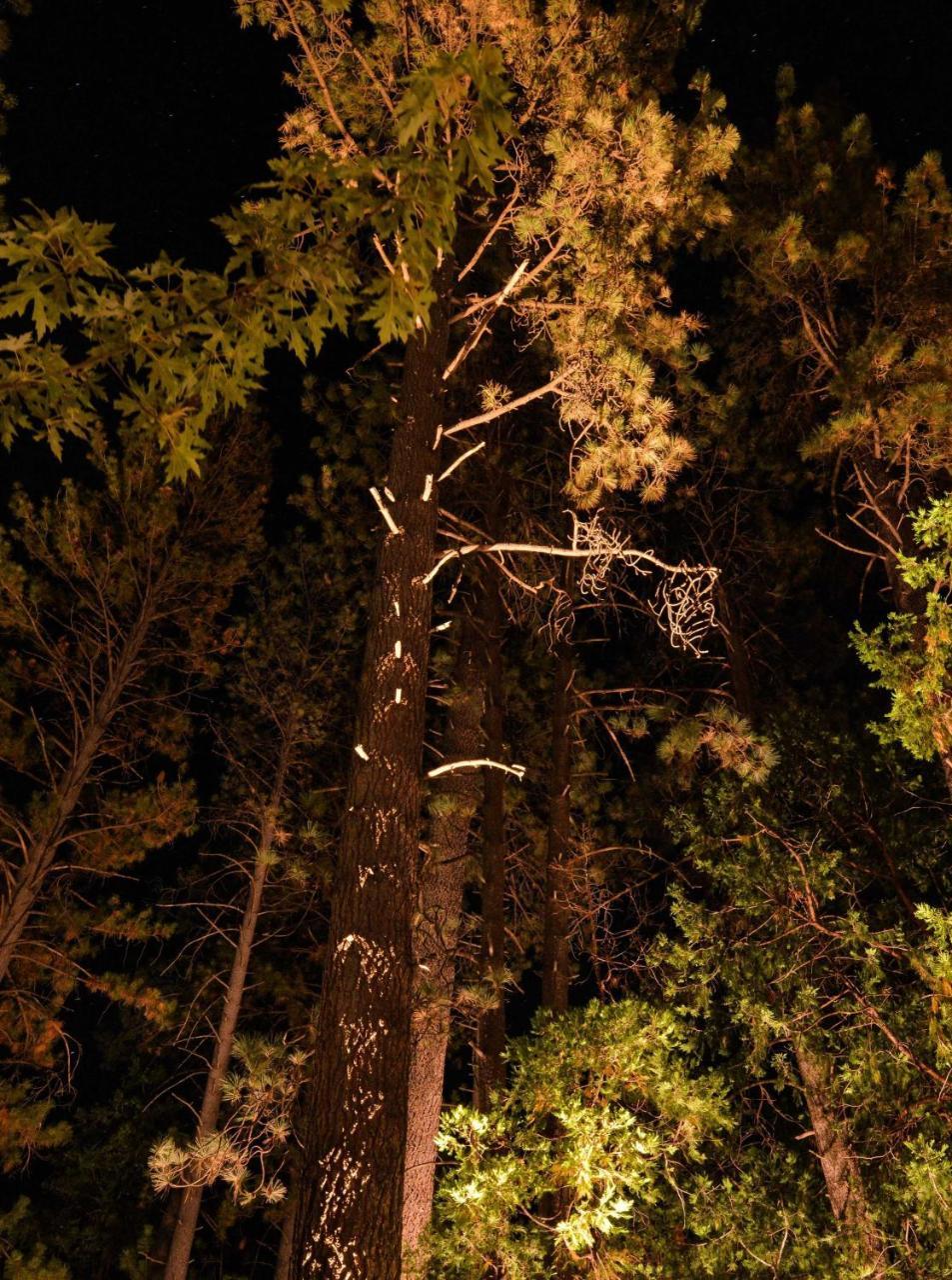 Quiet Creek Inn Idyllwild Exterior photo